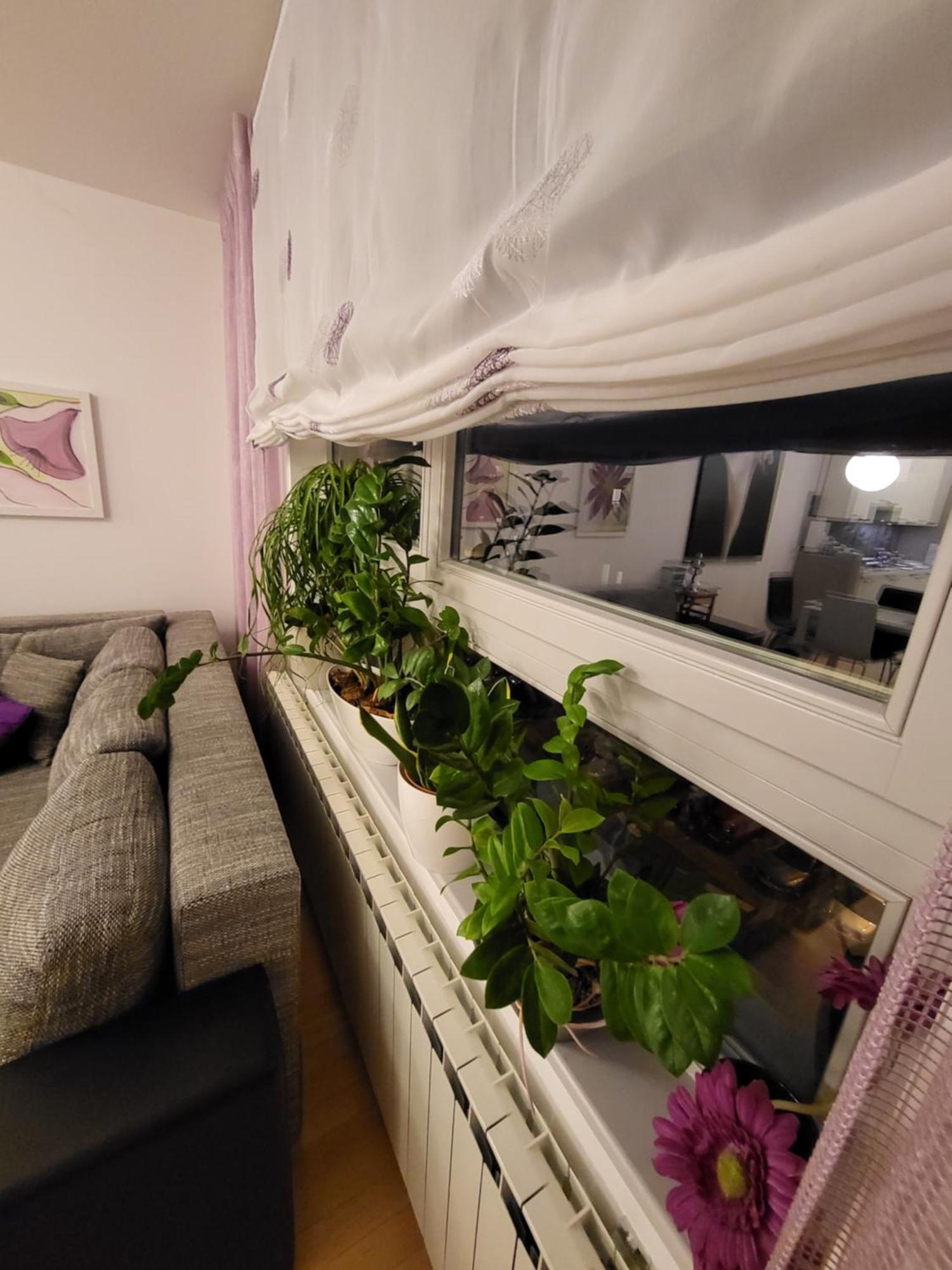 Apartman Jarun Lake Lux 자그레브 외부 사진