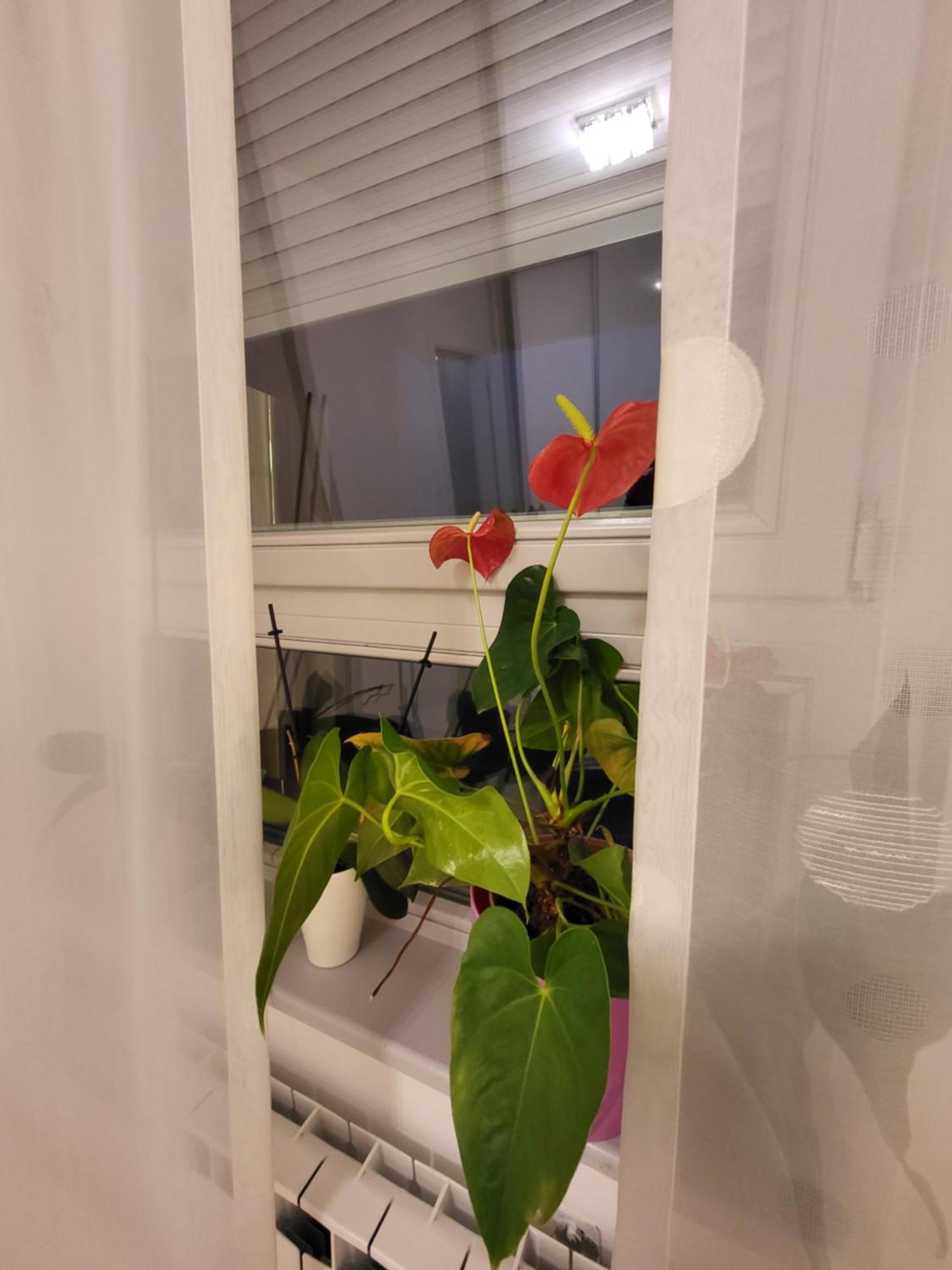 Apartman Jarun Lake Lux 자그레브 외부 사진
