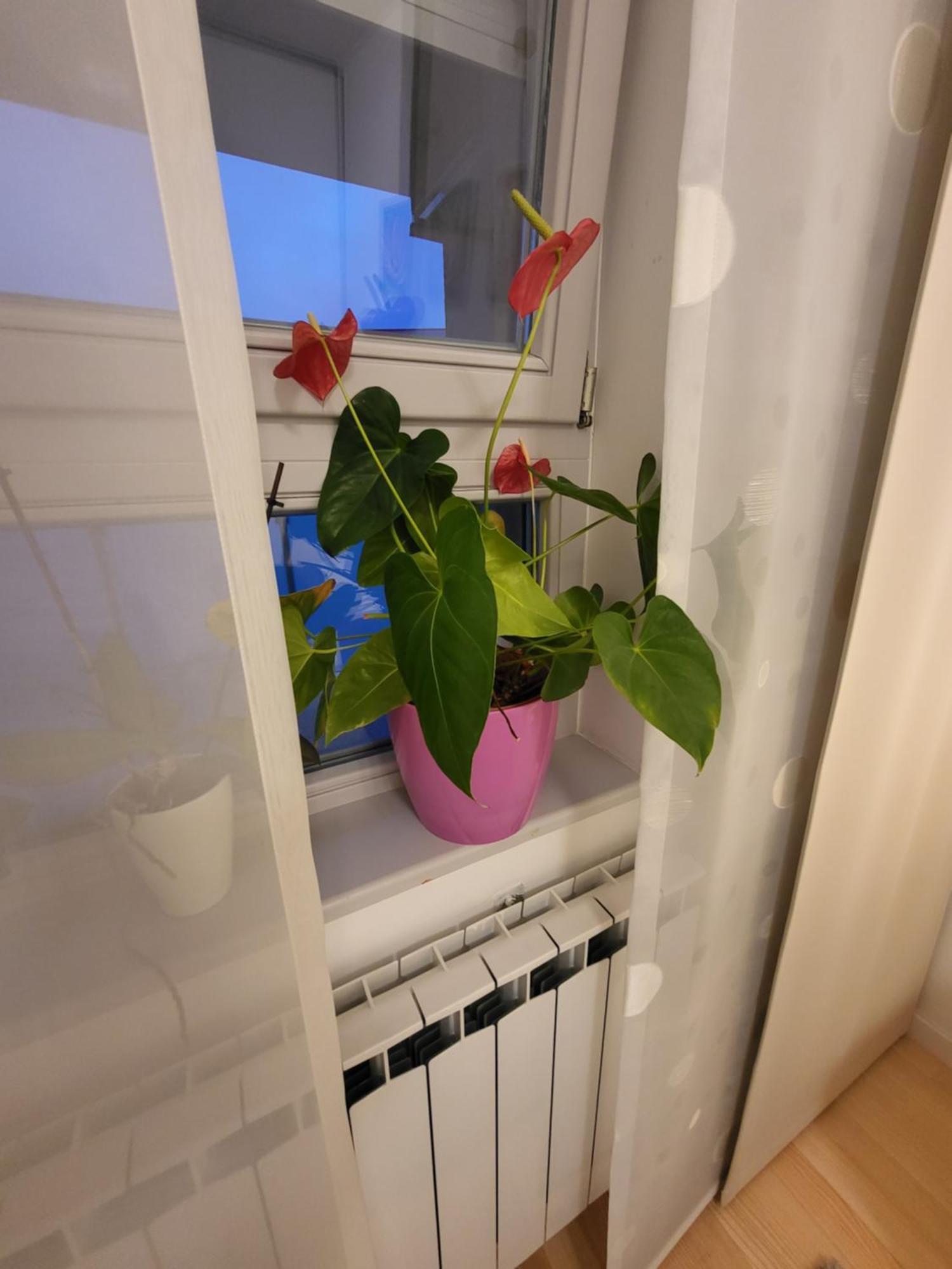 Apartman Jarun Lake Lux 자그레브 외부 사진